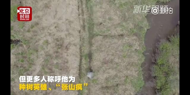 黑龙江老人坚持种树20年，种植上百万棵树，成就大森林