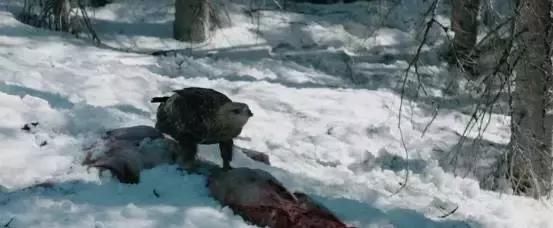 泪奔了,被强奸的女孩在雪地中赤脚狂奔的10公