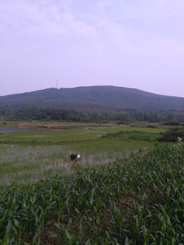 美丽的家乡和县之:大美石杨镇