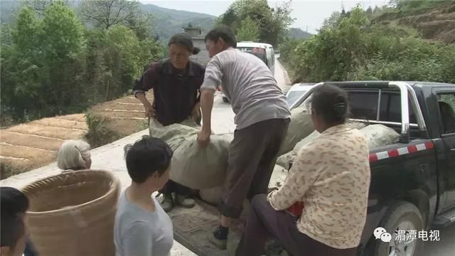 鱼泉街道：发展中药材种植 托起村民致富梦