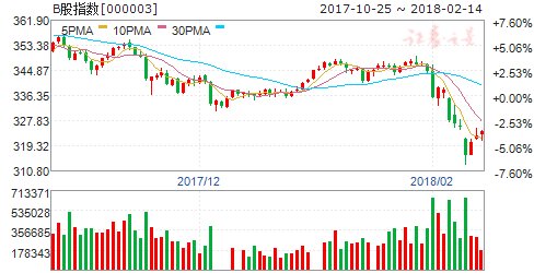 沪市B股指数报收334.51点 上涨0.31%