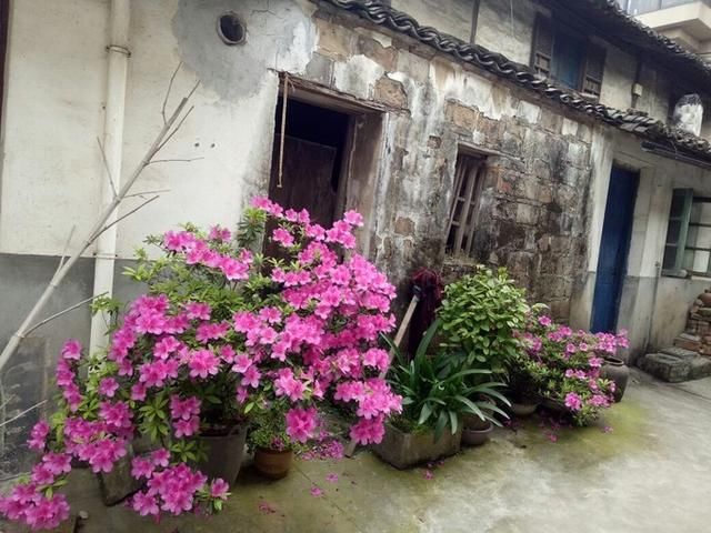 路上的村落，普通的景观，普通的世界