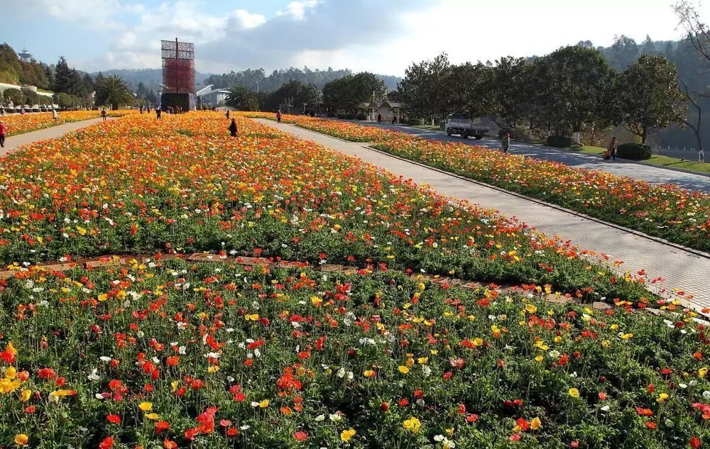 五一假期带孩子去哪里玩?这5个地方满足你的