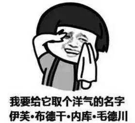 最高26℃!广东史上最热春节杀到!今日到大年初八的天气抢先看...