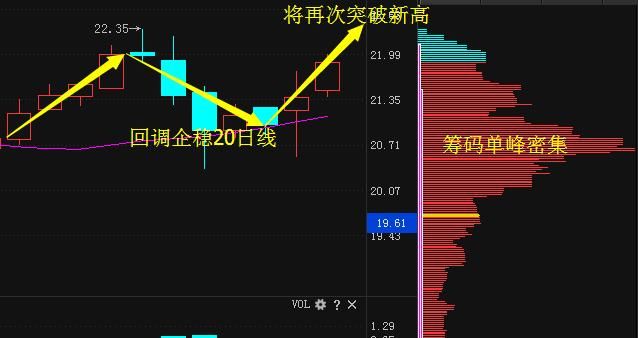 紧急利好消息：水井坊、通宝能源、辅仁药业、新钢股份分析曝光