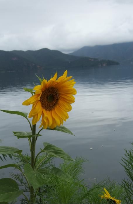 泸沽湖畔的女儿国,最是云南避暑秘境