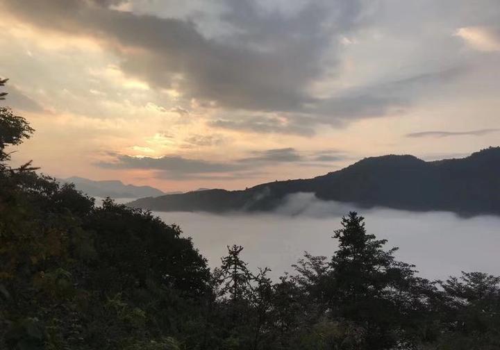 美丽新画卷③|三美富阳 城乡统筹发展进行式