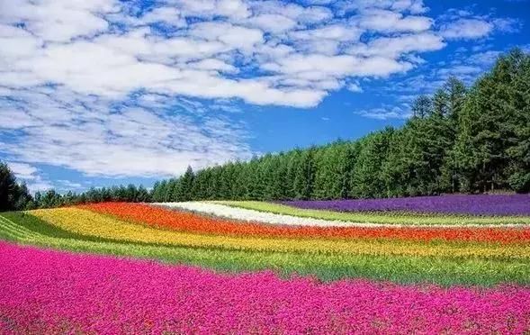 7个最佳毕业旅行地,最后一个也太酷了吧!