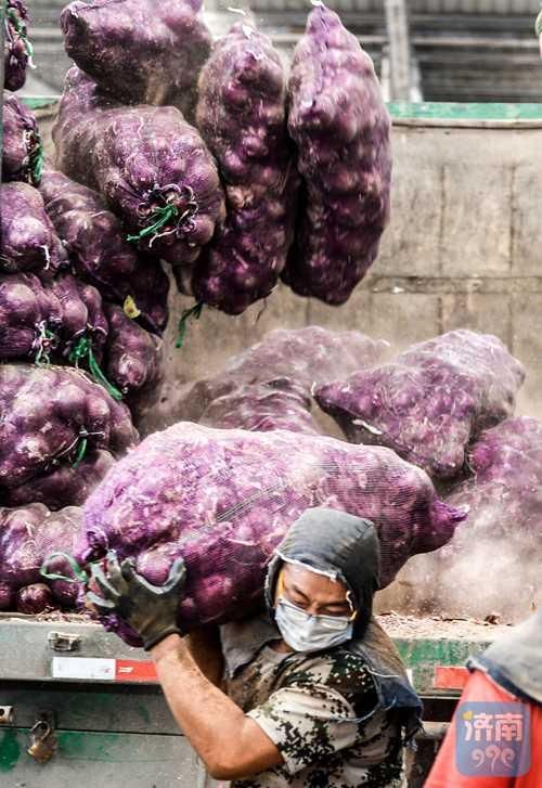 蔬菜专职搬运工 装卸一吨赚12元