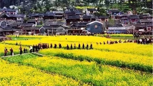 贵州最美古村,选一个隐居吧!