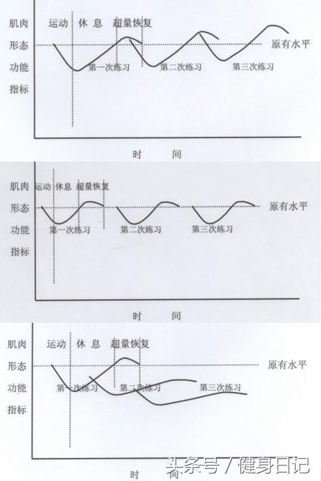 春节不练，肌肉不掉的秘密