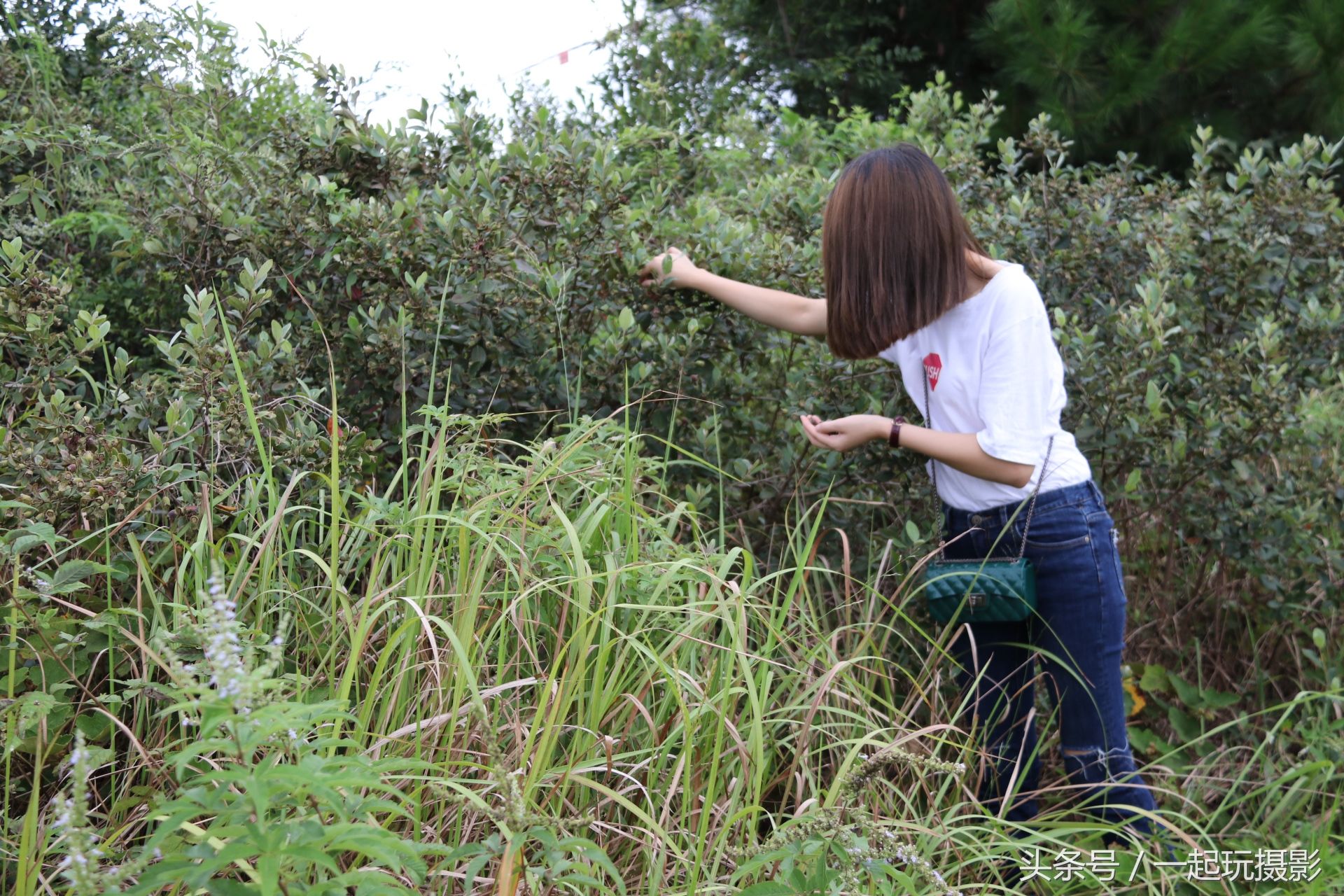 七夕!带老婆上山摘捻子,要不是下雨她都不想