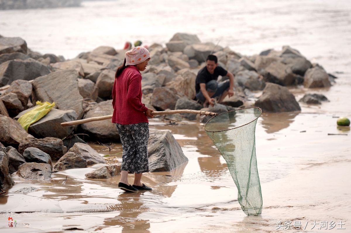 黄河流鱼奇观不再，大叔河边等一天捞了三条鱼，有人却摸起了螃蟹