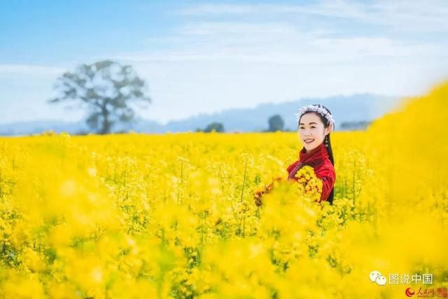 江西小众油菜花观赏地推荐 避开人海独享花海
