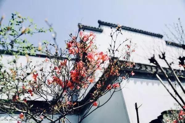 黄山市区藏着的一个隐世乌托邦小镇,还不要门票