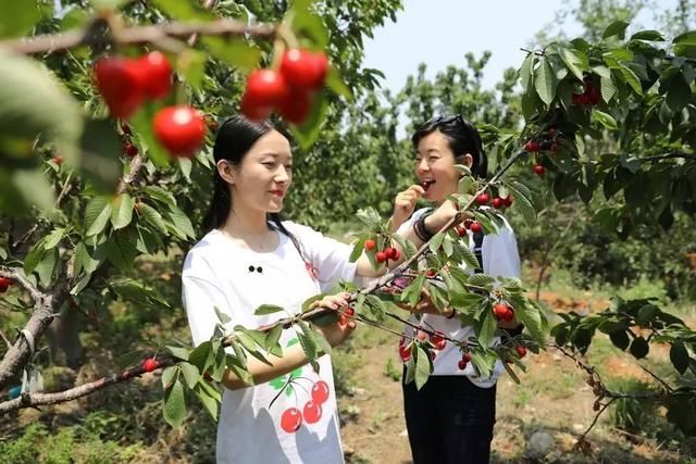 今天,2017大连国际大樱桃节盛装启幕!带你走进