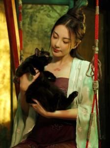 倾国倾城的美女凋零在乱世中,绝代芳华的容颜还是敌不过命运