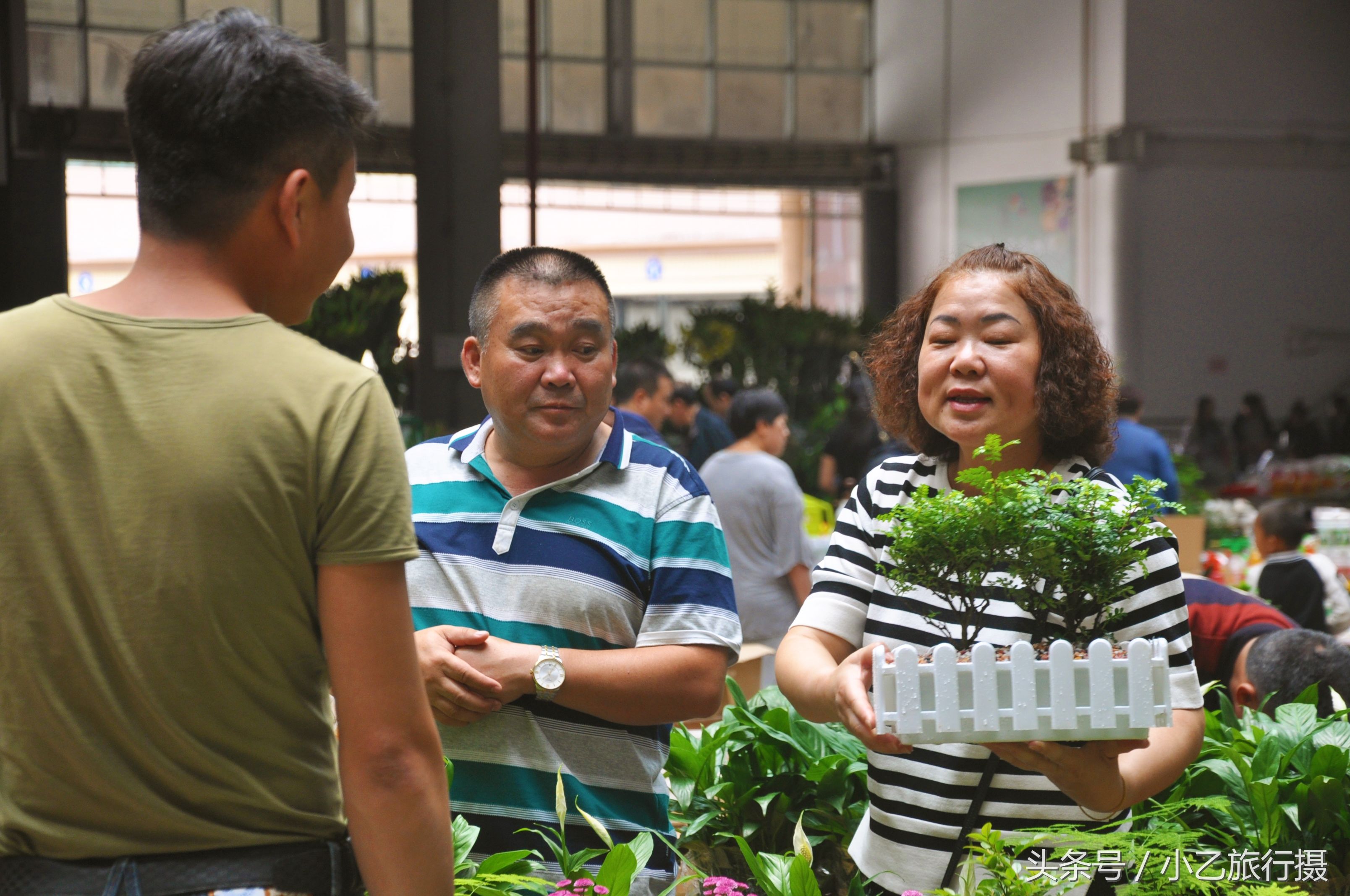 实拍中国最大的鲜切花交易市场,鲜花、盆栽种