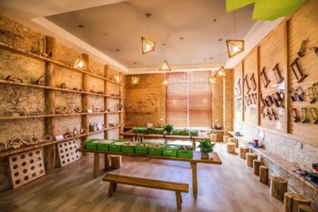 兴汇利:蒙特梭利幼教项目进驻武汉 打造没有天