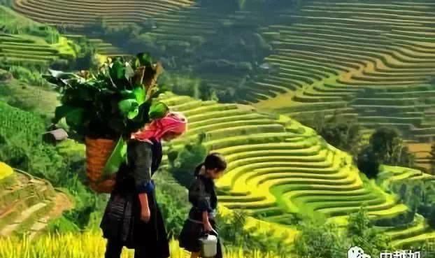 军事机场军事机场