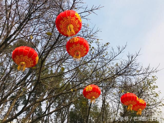 发财中国年，广州的新年新气象