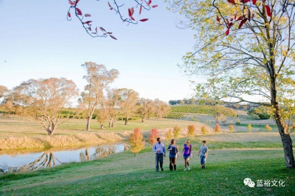 澳大利亚新兴产区,为什么会受到中国人的青睐