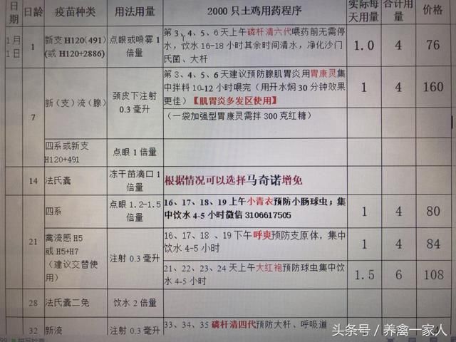养鸡秘诀:关于养鸡净槽的好处,以下几点养鸡人必须掌握!