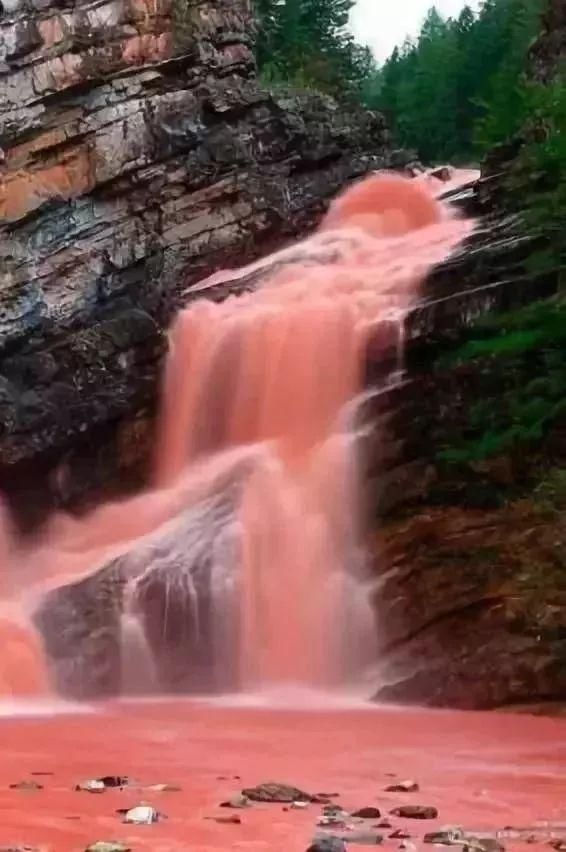 美丽的风景不在