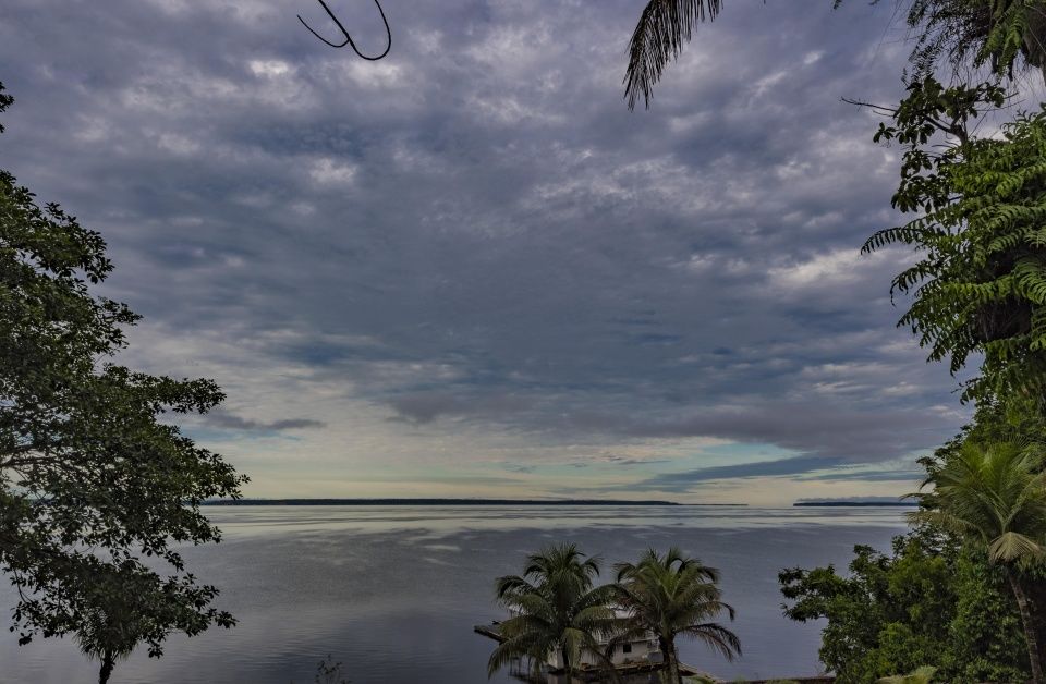 一头300斤的牛掉进亚马逊河,食人鱼多长时间吃