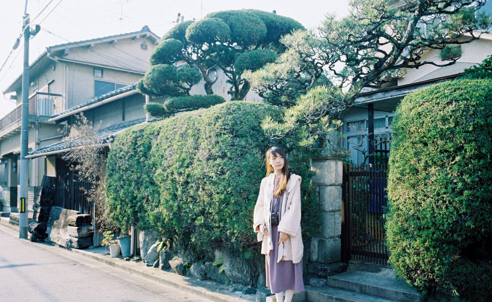 国家旅行社停止旅行