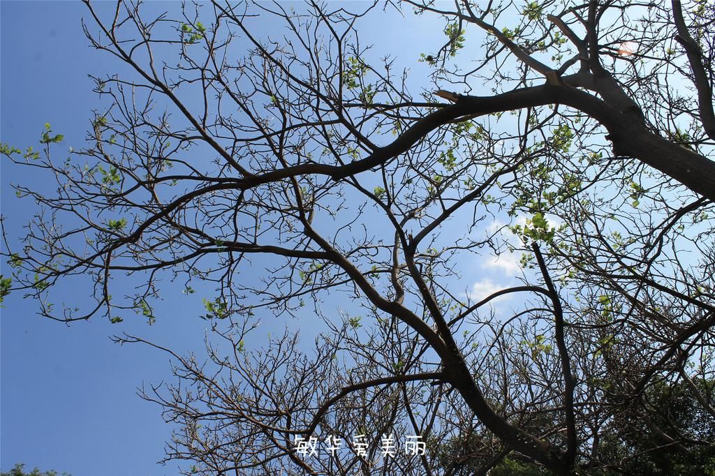 厦门市十五届人大五次会议