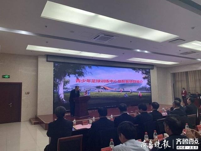 农村新能源投资项目