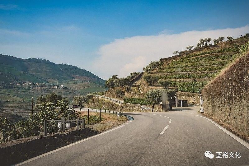 6个葡萄酒旅游新去处，你都get到了吗?