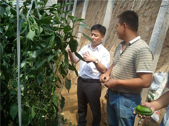 政储蓄银行深化三农金融服务 践行普惠金融理