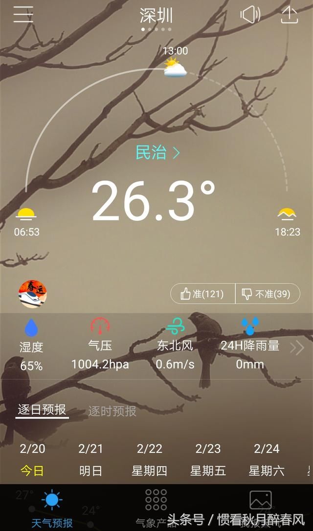 今天深圳的天气预报让我瑟瑟发抖,什么?夏天又要来了?