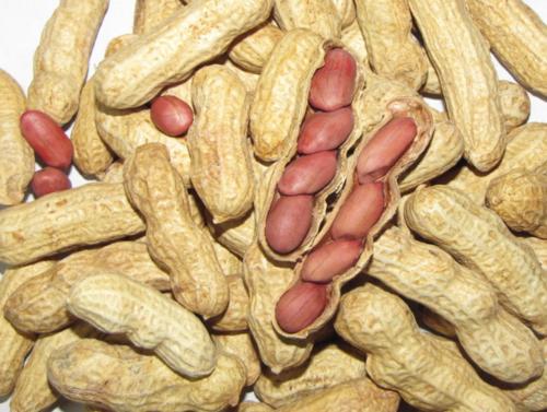 小米是什么东西制成的 t01f95a5deef79ceaef.jpg