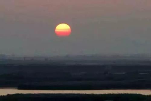 江门的这种鱼，被誉为“鱼类中的天才”！盛夏吃它正当时~丨寻味