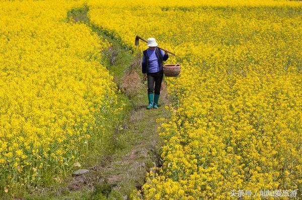 3月份最值得去的20个地方，全都美哭了，新春第场一旅行你去哪儿