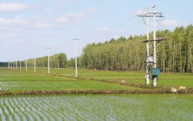 农村土地确权, 户口迁出怎么办? 这两类人要注