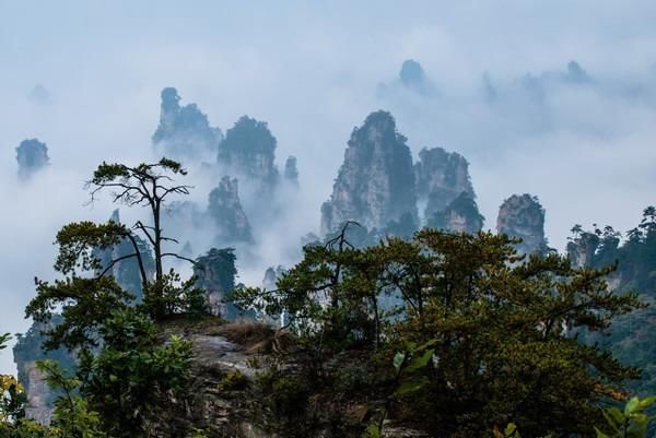 衡阳张家界旅游自助游,旅游攻略,游玩五天时间!