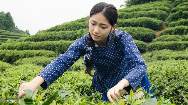 年轻人回农村搞养殖，如世外桃源 专家：弱者心态！