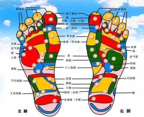 树枯根先竭,人老脚先衰,冬季泡脚好,养生大绝招