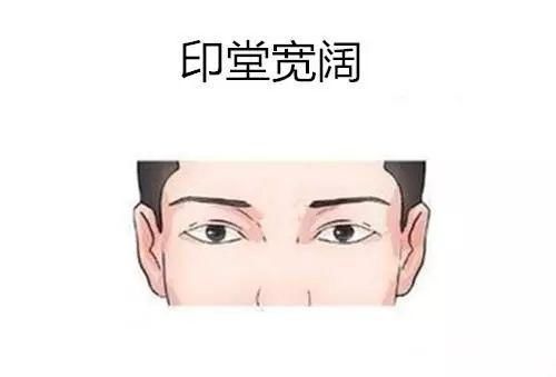 t01fa49c1abeacac90d.jpg