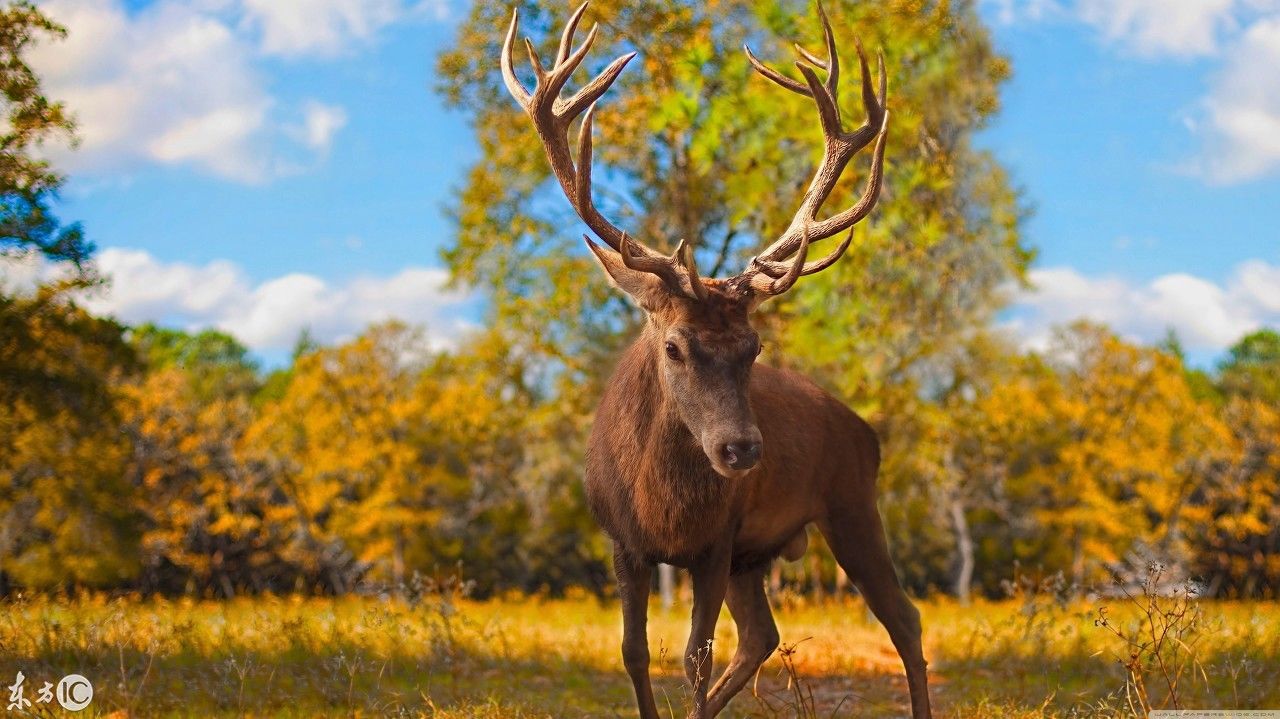 4K电脑桌面壁纸欣赏:决定明天的不是明天,而是