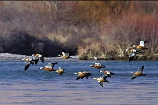 三月，青海无限美，不负好春光！