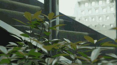 这里装下了整个西塘