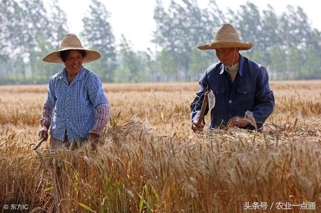 农村这项补贴开始发放，村民们快看看到帐了吗！