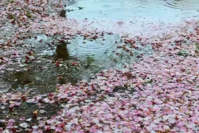 【每月在路上】三月,送你最in的赏花攻略,十大赏花胜地,愿你不