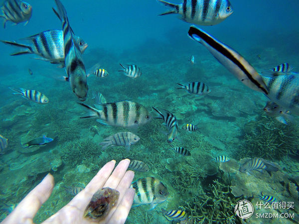 头脑一热，去马来西亚热浪岛了