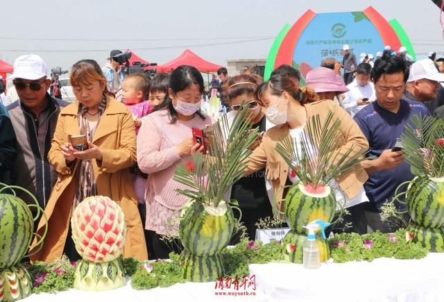 2018蒲城西甜瓜节暨休闲采摘体验季启动仪式举行